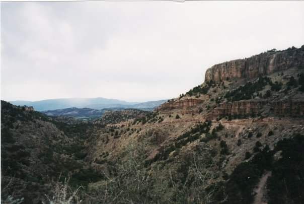 A view of C.D. Walcott's Helena Canyon section on the 1892 stagecoach route (Shelf Road) between Canon City and Cripple Creek, Colorado, looking south towards Garden Park. Fourmile Creek cuts into the Pikes Peak granite, nonconformably overlain (in vertical sucession) by the Ordovician Manitou limestone, Harding sandstone and Fremont limestone (named by Walcott with reference to this locality). The Fremont limestone forms the white ridge crest to the right, while the Harding forms the vertical exposures just above the road.