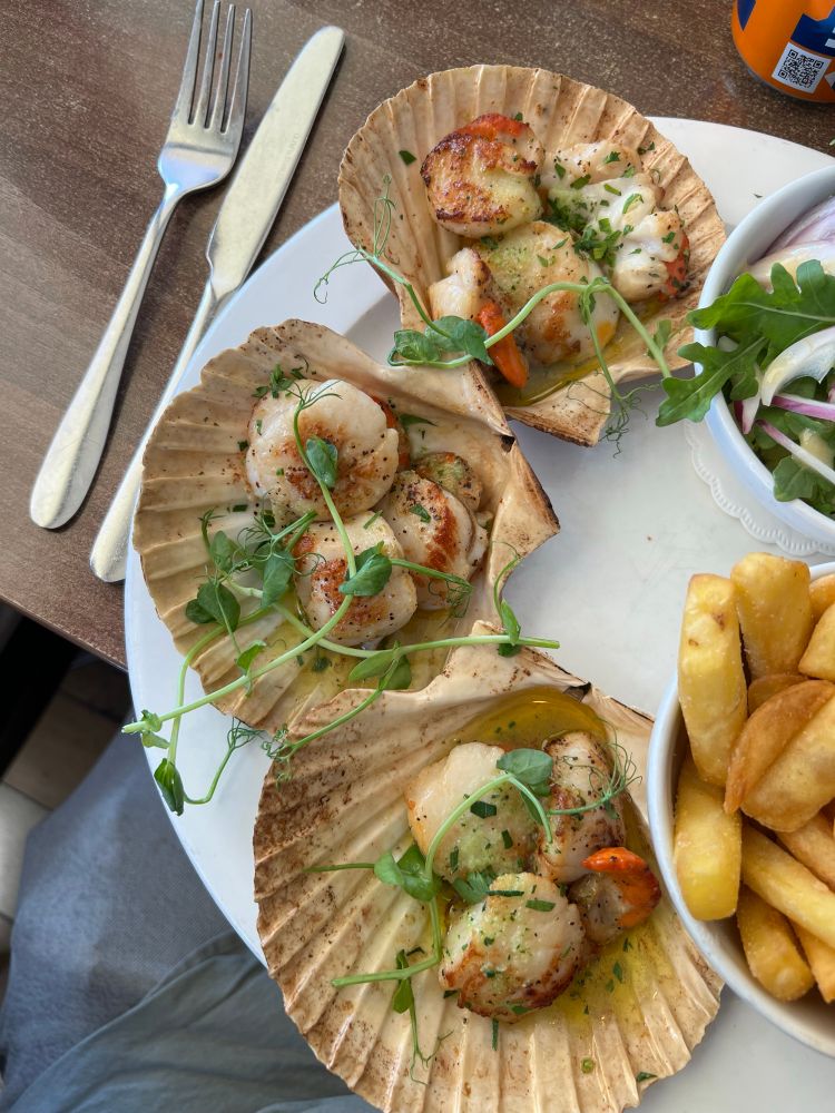 Scallops on the halfshell. 