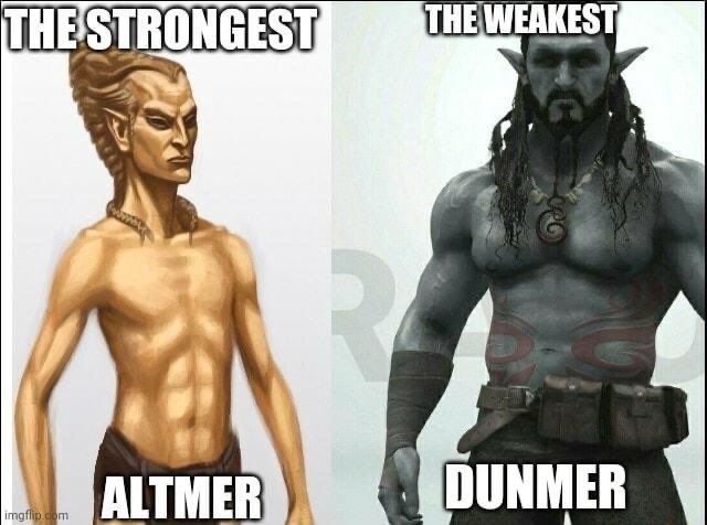 Side-by-side image of a skinny Altmer on the left with the text "the strongest Altmer", and an absolute specimen of a Dunmer on the right with the text "the weakest Dunmer."

You n'wah.