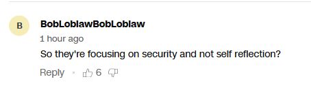 BobLoblawBobLoblaw: So they're focusing on security and not self reflection?