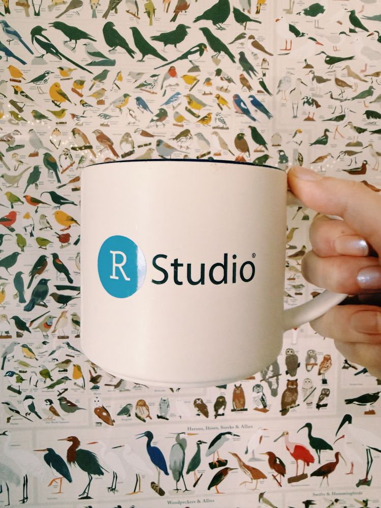 Libby's right hand holds a large white coffee mug that has the RStudio logo on it. The background is a white poster with North American bird species and illustrations on it.