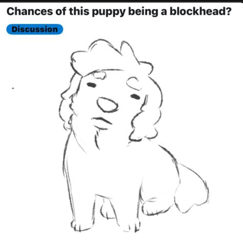 drawing of a dog with the caption "Chances of this puppy being a blockhead?"