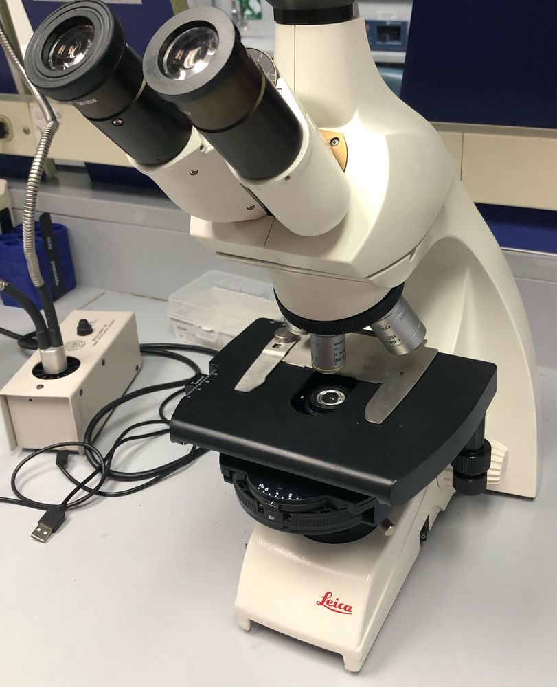Olde faithful, the compound microscope I used to look at all of my samples.