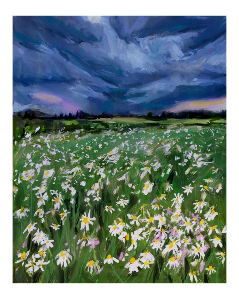 Digital illustration of a meadow of white and purple flowers with rain clouds above it.