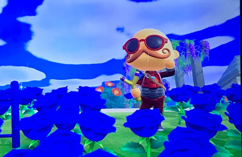 My Animal Crossing character standing behind a patch of blue roses, posing with a flex reaction 