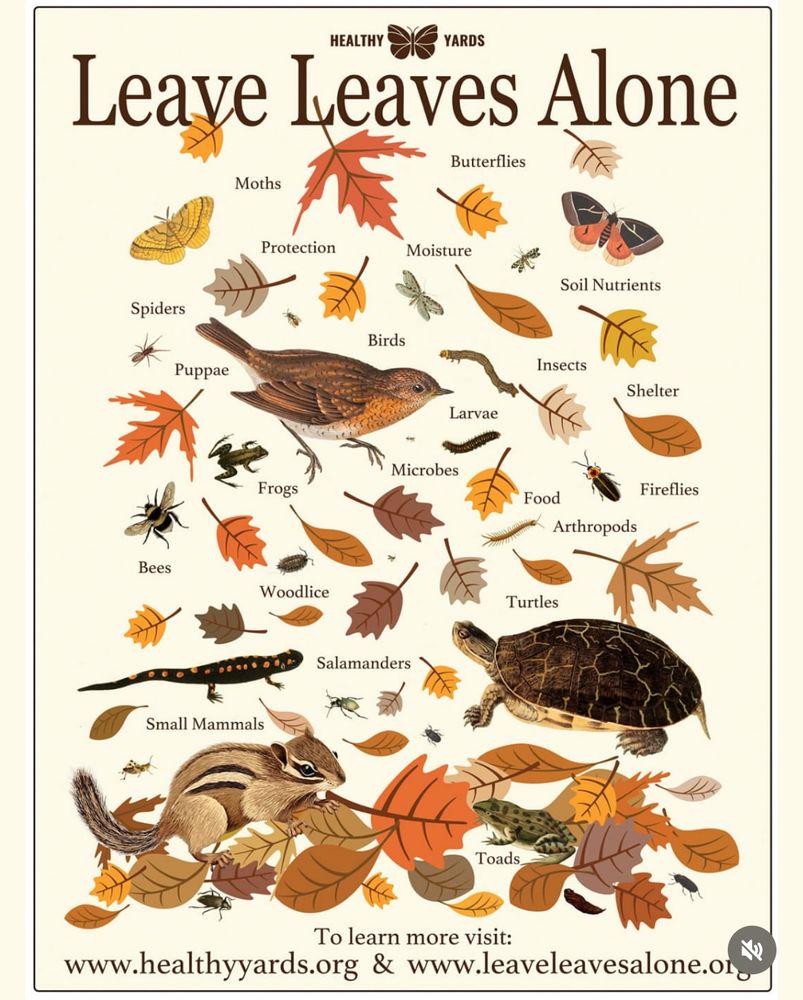 Leave the leaves poster!