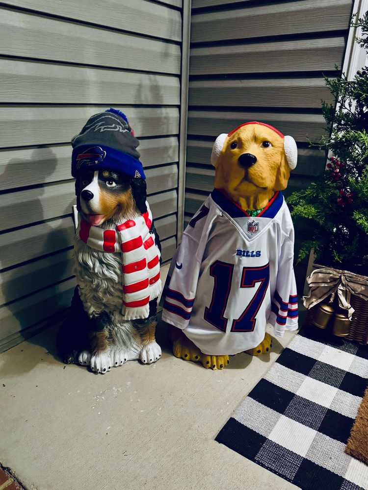 Holiday decorations of a Bernese mountain dog and yellow lab wearing Buffalo bills gear. 