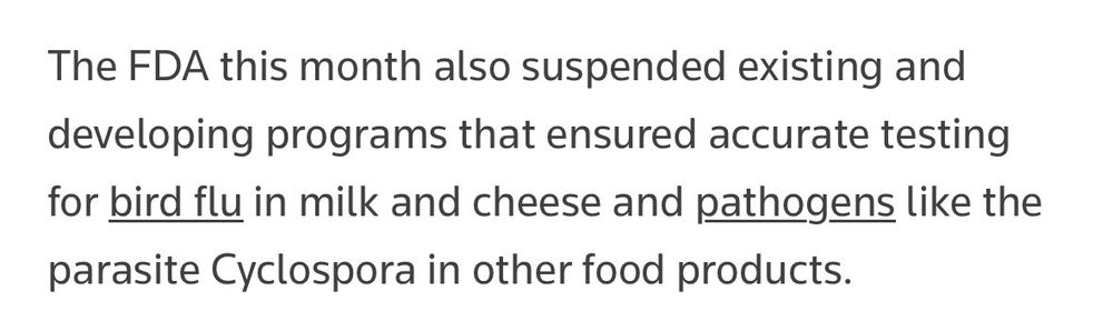 The FDA this month also suspended existing and developing programs that ensured accurate testing for bird flu in milk and cheese and pathogens like the parasite Cyclospora in other food products.