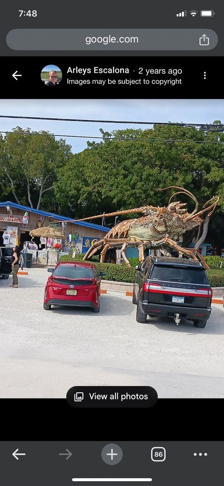 Giant lobster statue in parking lot. Small house structure with blue roof behing it. Red car and black suv near it