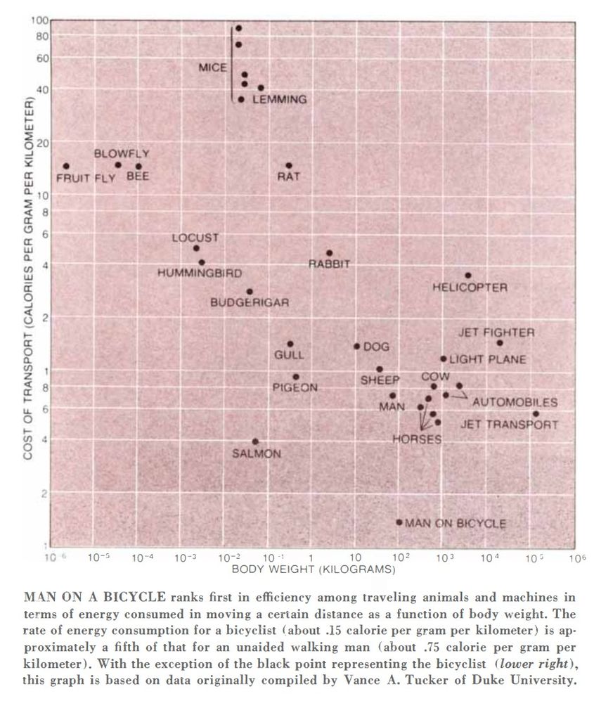 A graph titled "Cost of Transport" showing the relationship between body weight (in kilograms) and energy consumption for distance traveled (calories per gram per kilometer) for various animals and machines. It highlights that a person on a bicycle ranks first in efficiency.