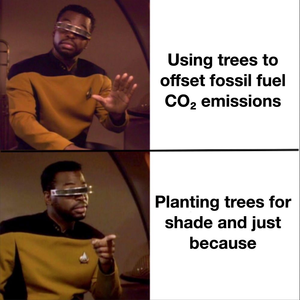 A two-panel meme featuring Geordi La Forge from Star Trek: The Next Generation. In the top panel, Geordi is shown with his hand raised in a dismissive gesture, wearing his characteristic golden uniform and metallic visor, with a disapproving expression. The text reads "Using trees to offset fossil fuel CO₂ emissions." In the bottom panel, Geordi is shown with an approving gesture, pointing forward with his finger and a pleased expression. The text reads "Planting trees for shade and just because."