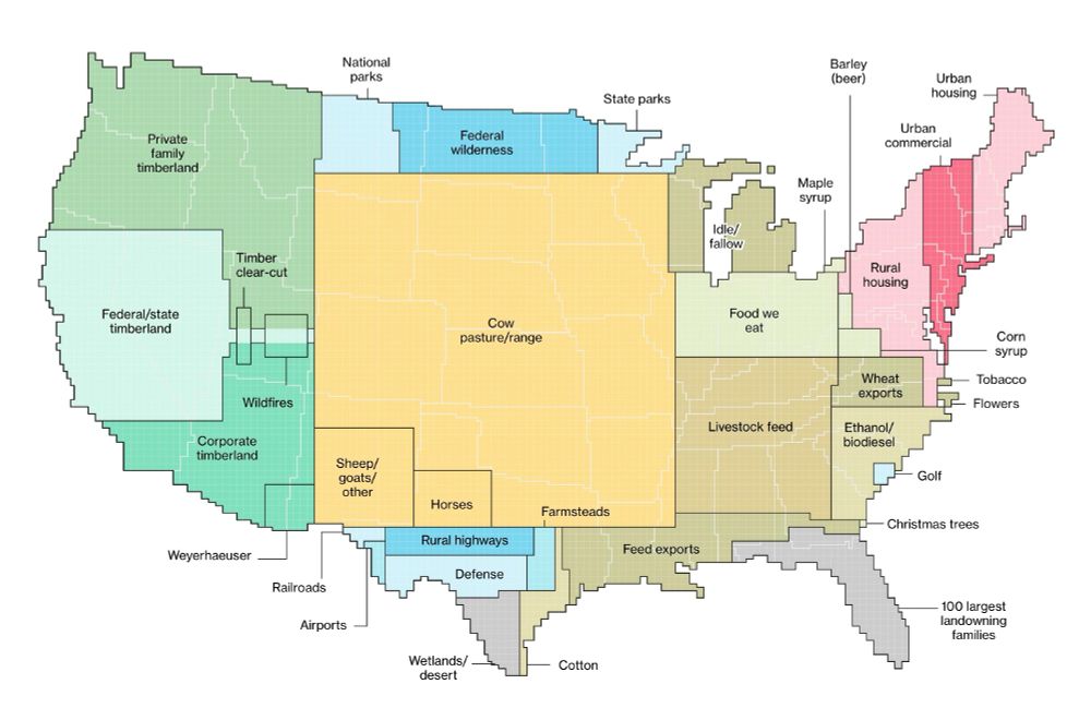 This is a cartogram map of the United States depicting land use by different categories. The map distorts state shapes to represent proportional land usage. Key land use types include cow pasture/range (covering much of the central U.S.), private and federal timberland in the Pacific Northwest, corporate timberland in the Southeast, and urban housing/commercial areas in the Northeast. Other categories include agriculture (livestock feed, wheat exports, ethanol/biodiesel, cotton), protected lands (national parks, federal wilderness, state parks), and infrastructure (railroads, airports, highways). Additional specialized land uses include wildfires, golf courses, Christmas tree farms, and maple syrup production.