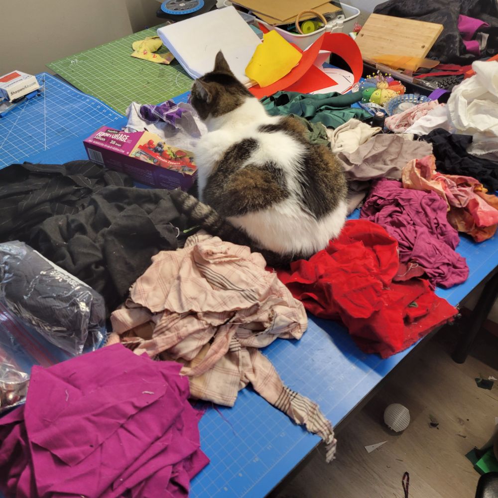 Several piles of scrap fabric sorted by type.  In the center, my piebald cat sits in a happy loaf, showing the heart on her side