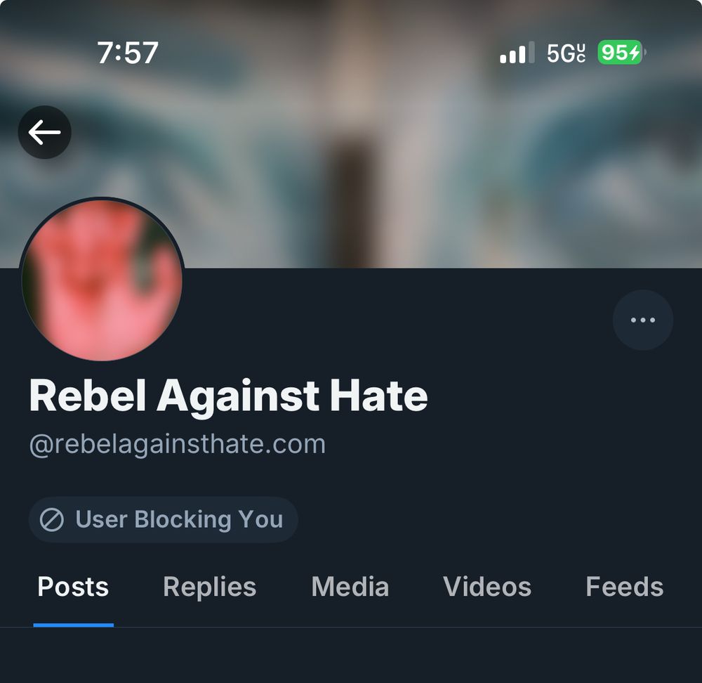screenshot of bsky user rebelagainsthate.com that says “user blocking you”