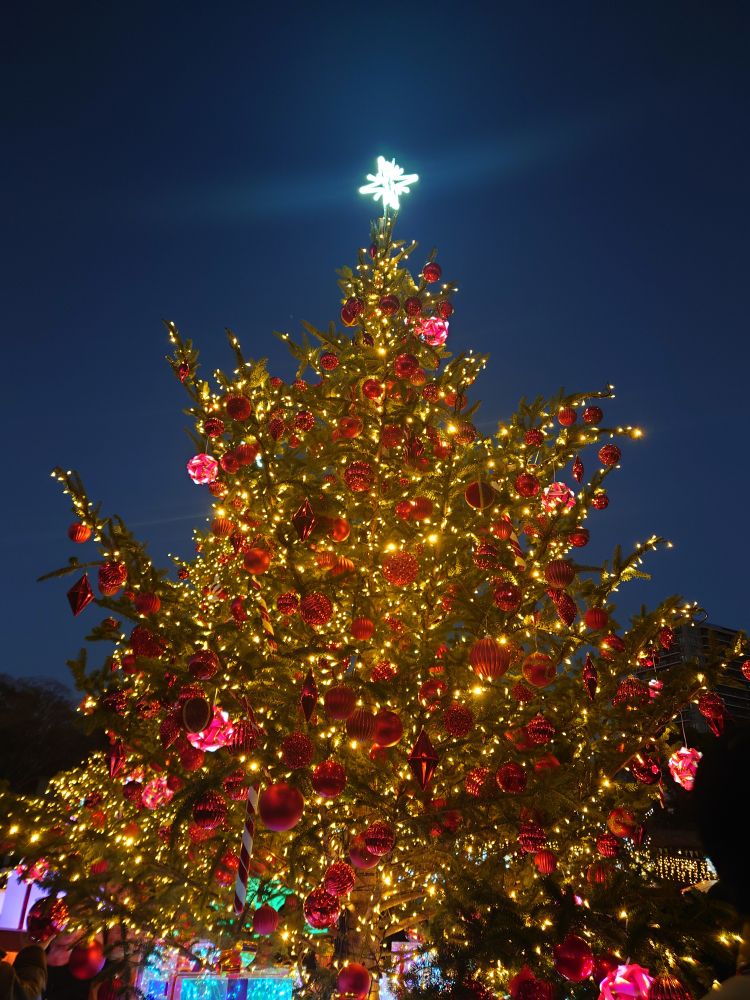 クリスマスマーケットのクリスマスツリー