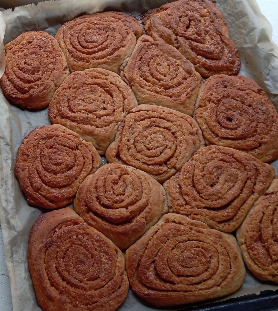 Ein Blech mit Zimtschnecken