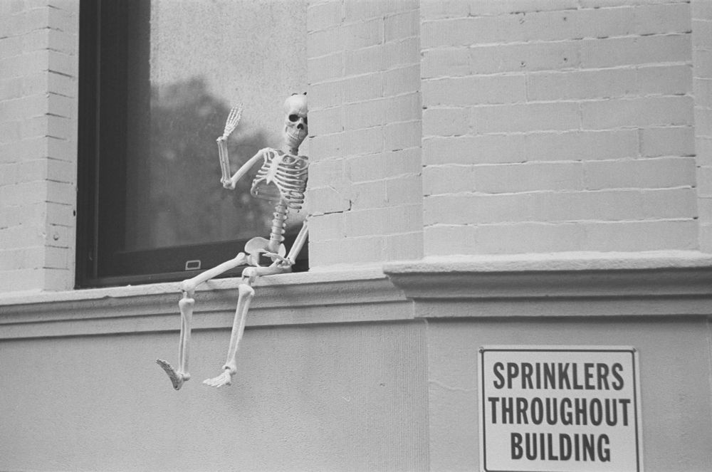A lone skeleton sitting on a windowsill waving.
