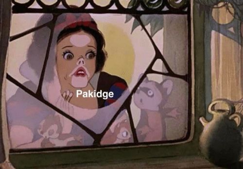 Meme of Snow White with her face comically pressed against a window, captioned “Pakidge”