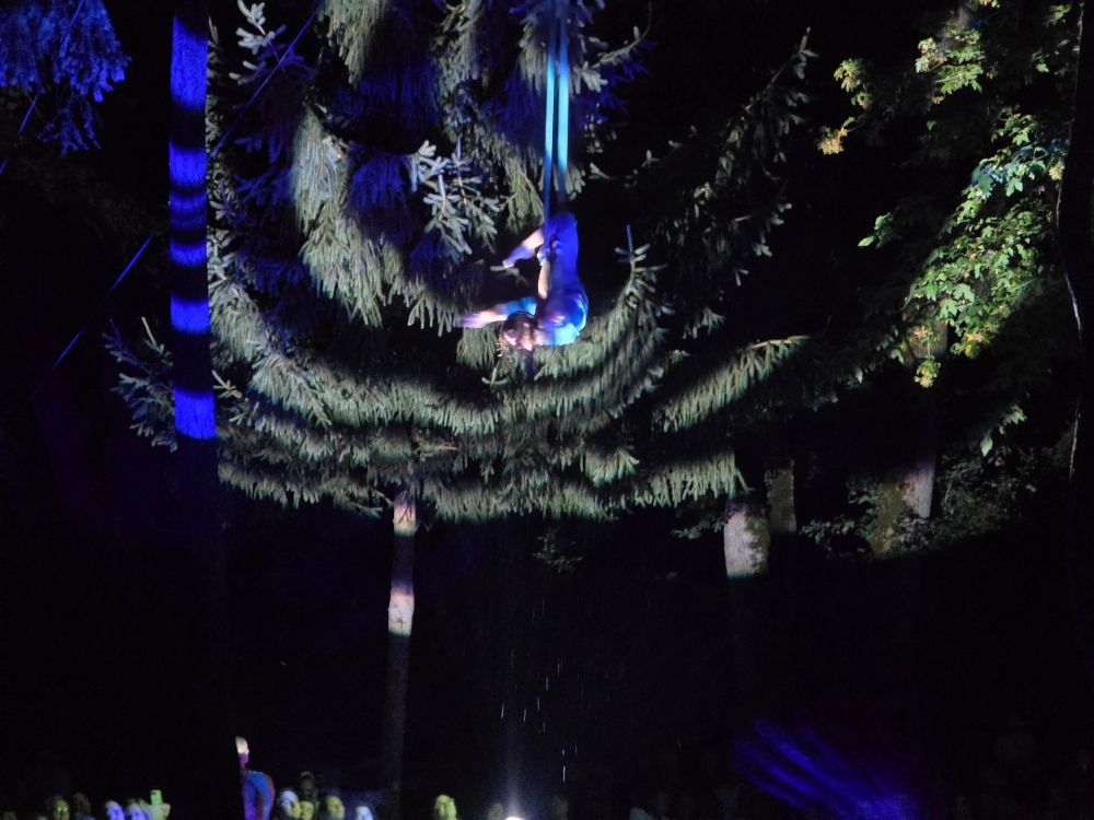 Arial artist dancing among the trees