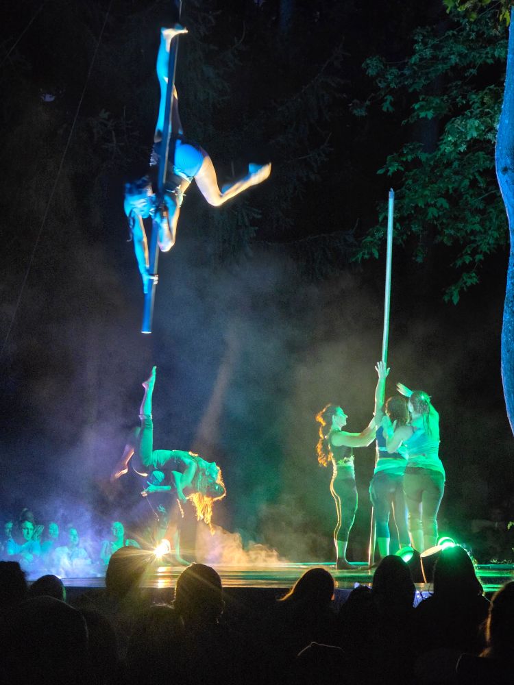 Arial artist dancing among the trees