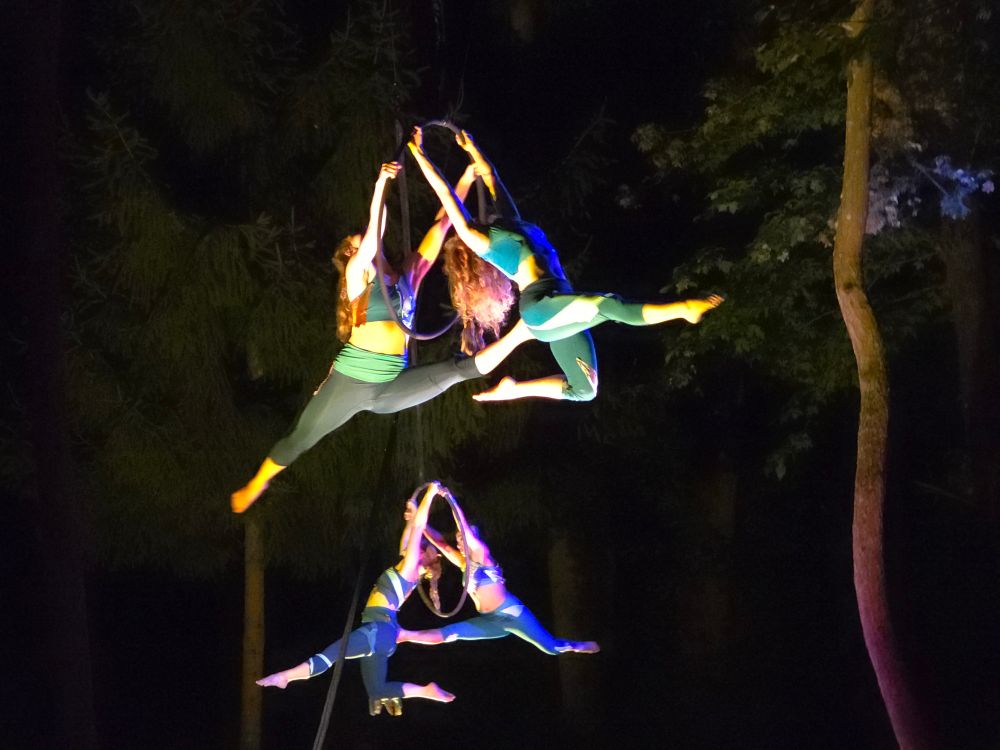 Arial artist dancing among the trees