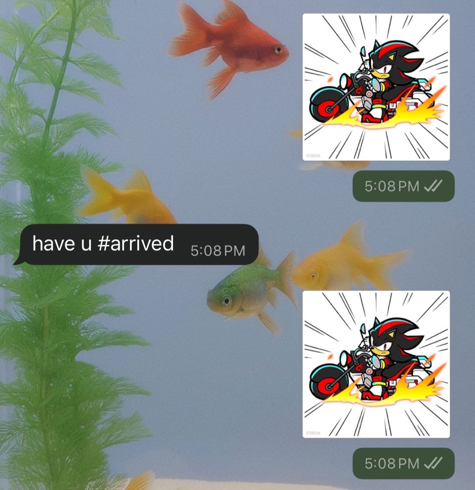 messages between me and my sister:

i sent her a sticker of shadow the hedgehog doing the akira slide on a motorcycle

she replies with “have u #arrived”

i sent her the same sticker again
