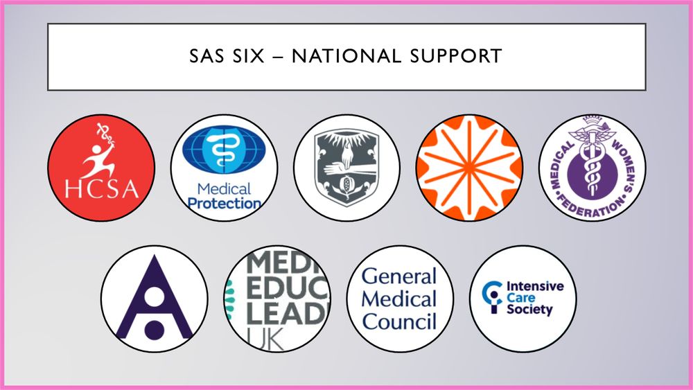 SAS six - national support:

HCSA
Medical Protection
RCP
Association of Anaesthetists
Medical Women's Federation
RCOA
Med Ed Leaders UK
GMC
Intensive Career Society