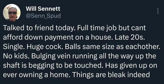 piada original da conta @Senn_Spud no Twitter que eu só traduzi e não vou traduzir de novo