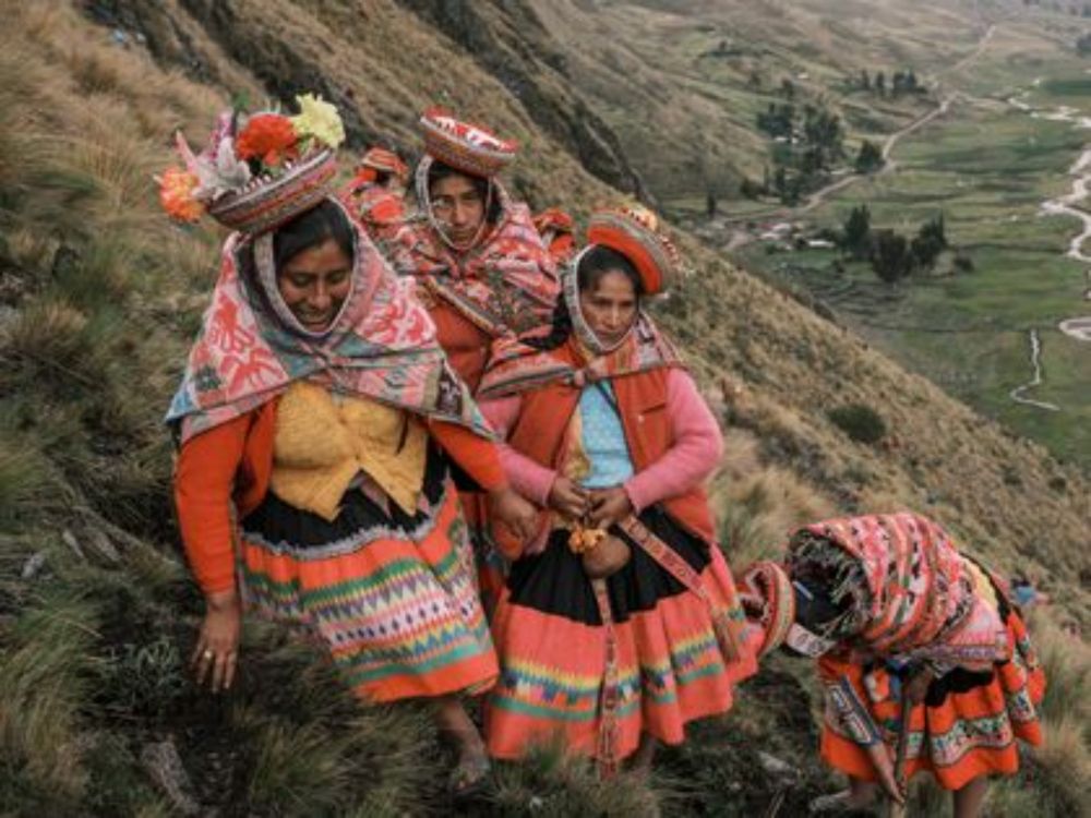 Vital Impacts Environmental PHOTOGRAPHY Grant 2025 - Picter