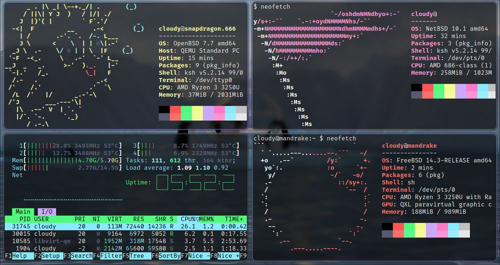 A screengrab of a grid of 4 terminals open. The upper-left is OpenBSD 7.7 amd64. Uptime is 15 minutes. 9 packages are installed. The shell is korn shell, and the memory used is only 37 MB. The upper-right is NetBSD 10.1 amd64. Uptime is 32 minutes. 3 packages are installed korn shell is the shell, and 254 MB of memory are being used. The bottom-right is FreeBSD 14.3 amd64. Uptime is 2 minutes. 6 packages are installed. The default shell is sh, and the memory being used is 188 MB. On the bottom-left is a console running 'htop', which shows hardware usage statistics for the host system.