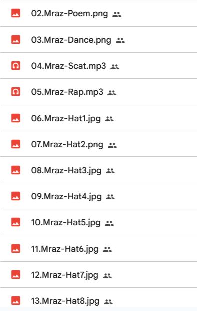 A screenshot of different files relating to Jason Mraz. 2/3 of them just pictures of him in different hats.