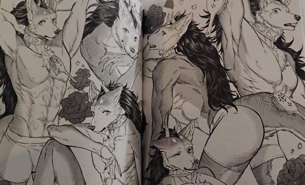 Double page du tome 2 de Servant Beasts de Suzuka MORINO (édition Vega, 12.50€) où l'on voit le héros, Hal, un homme chien un peu chimérique dans des poses lascives et suggestives 🤭