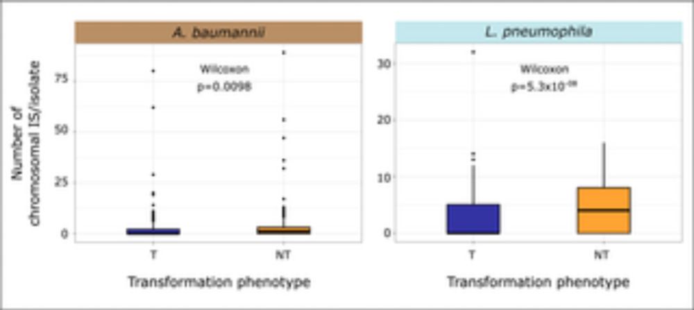 Intragenomic conflicts with plasmids and chromosomal mobile genetic elements drive the evolution of natural transformation within species