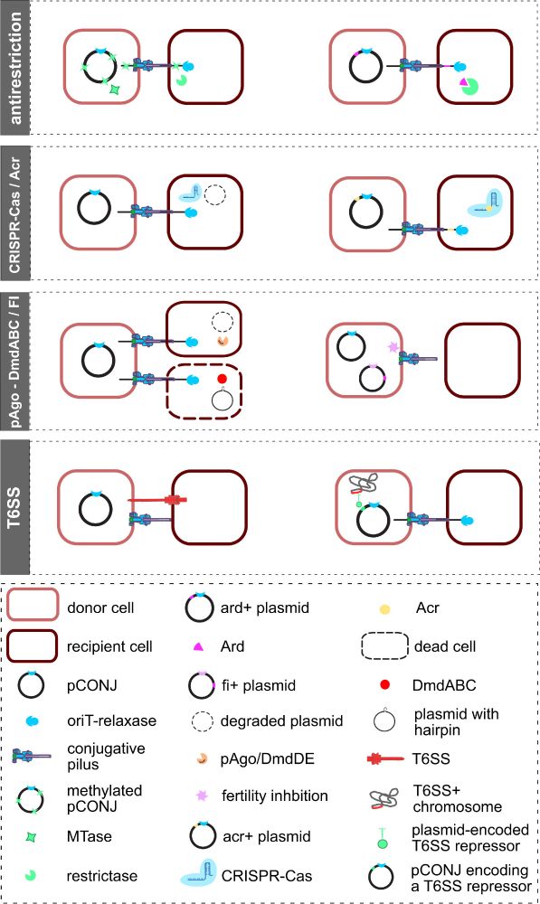 plasmids strike back