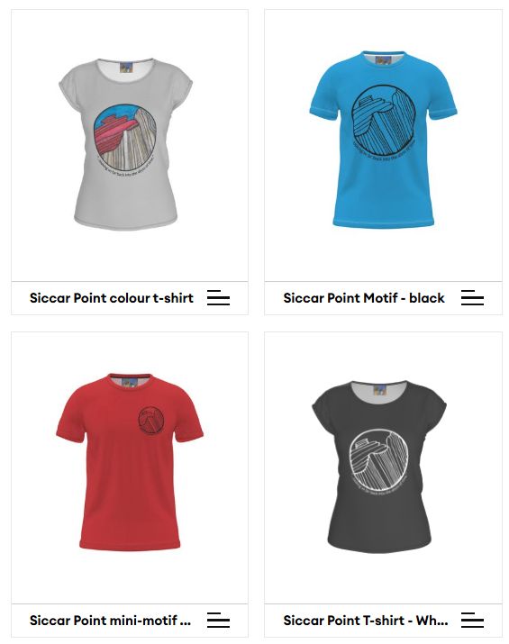 Screenshot showing four t-shirts in a grid. The top left is a ladies-fit t-shirt in a pale grey with a large circular motif in the centre. The motif shows vertical brown / grey rocks underlying sub-horizontal red rocks, with blue sea or sky in the background. A quote beneat the motif says "... looking so far back into the abyss of time." The top right shows a blue unisex-fit t-shirt with a large, central, circular motif similar to the previous one, but this is just a black outline. Bottom left us a red unisex-fit t-shirt with the same black outline motif, but small and located on the left breast area. Bottom right is a black ladies fit t-shirt with a white version of the simplified motif, large and central.
