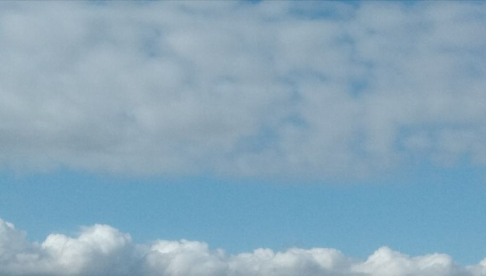 Ciel bleu et moutons blancs.