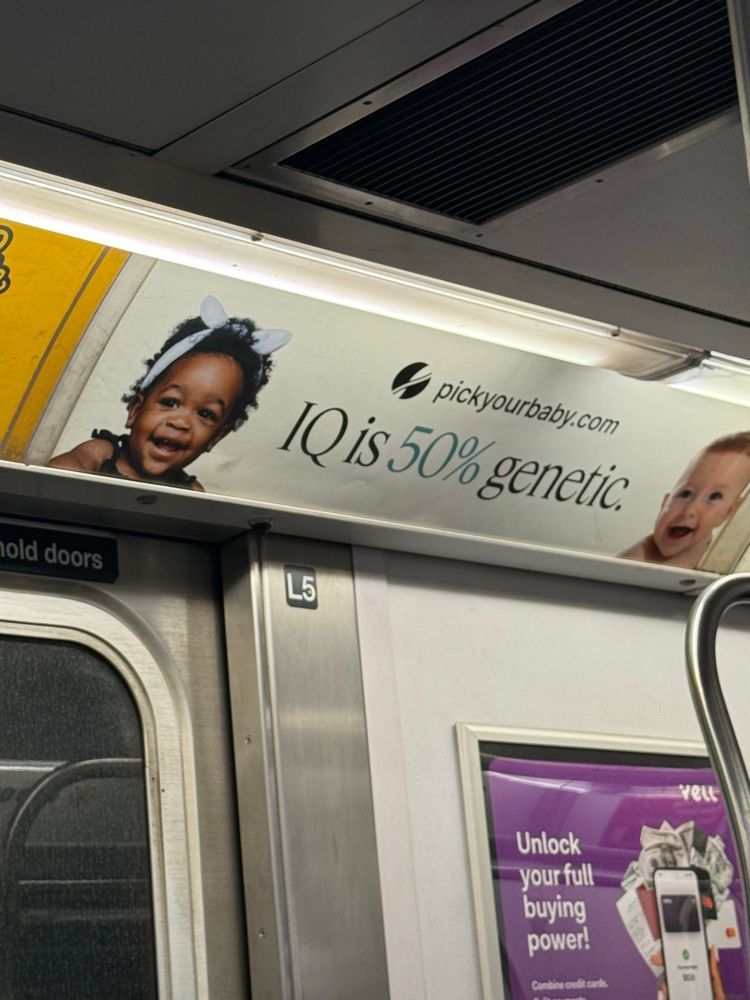 a color photo of an underground train showing an ad for a company titled "pickyourbaby.com" the ad features two children--both are smiling. The one on the right is blonde and blue eyed and white. The one on the left is Black, with hair tied up with a baby blue bow tie. The text reads: "IQ is 50% genetic"