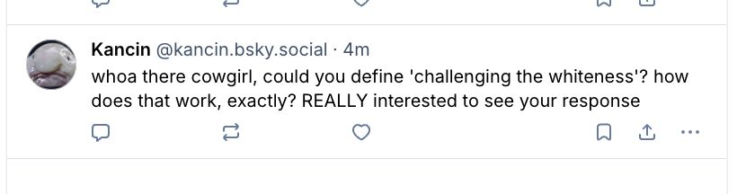 
‪Kancin‬
 ‪@kancin.bsky.social‬
· 4m
whoa there cowgirl, could you define 'challenging the whiteness'? how does that work, exactly? REALLY interested to see your response