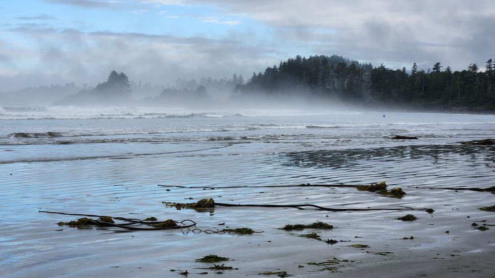 fog and steam coming off the pacific ocean at cox bay, bc.