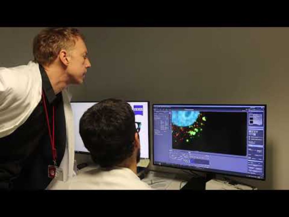 Meet the DBI Users - Interview with Andrea Mancini - Danish Cancer Institute - Phd Student