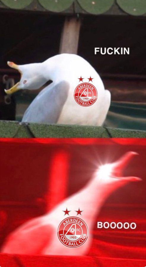 Seagull takes a breath and says the words 'Fuckin' booooo'