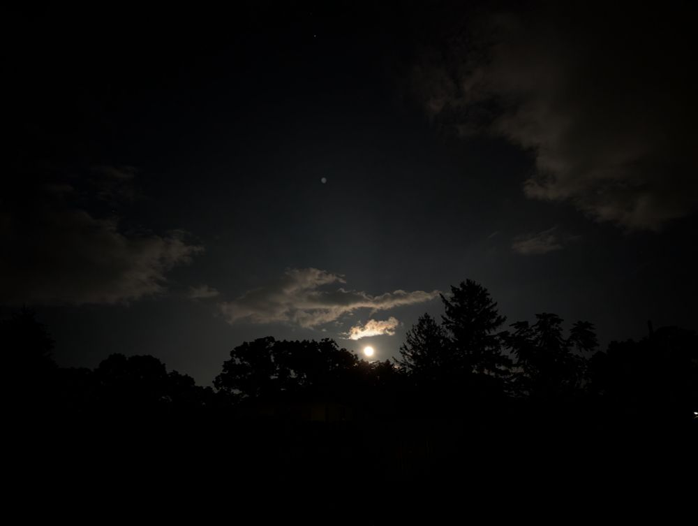 A nighttime landscape with a treeline in the foreground and a full moon in a partly cloudy sky in the background.