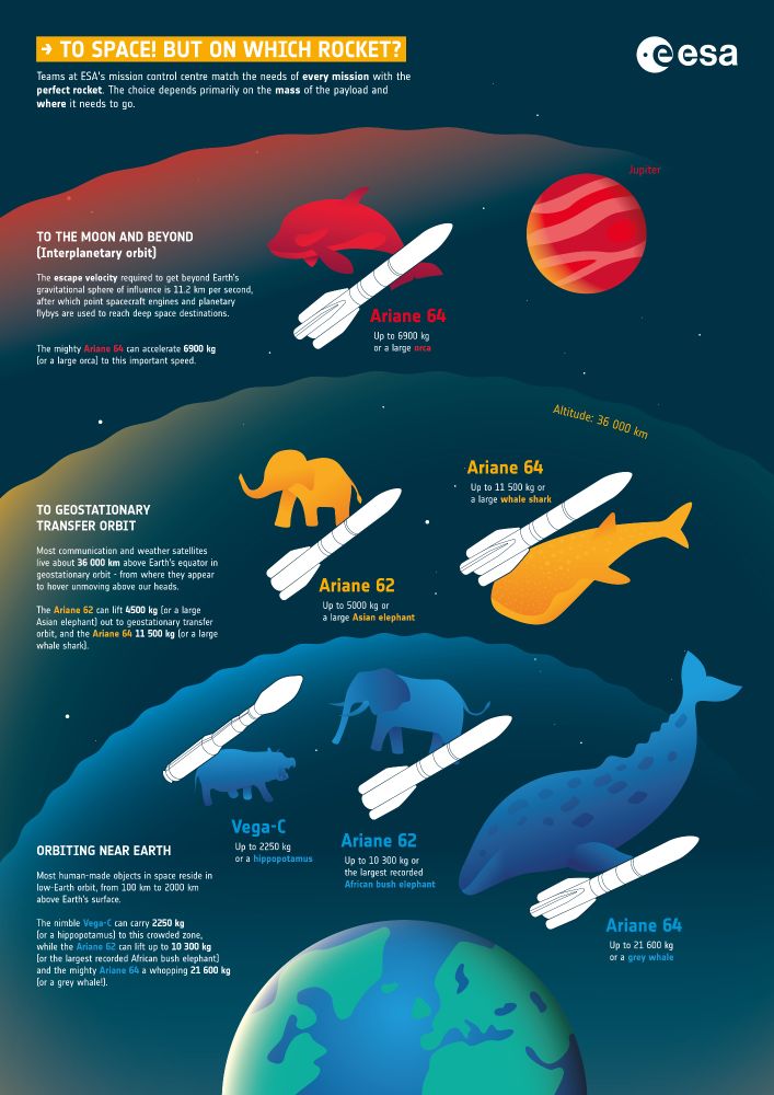 Infographic showing the match between animals and ESA's rockets.

To space! But on which rocket?
Teams at Mission Control match the needs of ESA missions with the perfect rocket. The choice of rocket depends primarily on the mass of the payload and where it needs to go.

The further from Earth a spacecraft needs to be lifted, and the more massive it is, the more fuel that is needed.

To the Moon and beyond

The minimum velocity required to get beyond Earth’s gravitational sphere of influence is 11.2 km per second, after which point spacecraft engines and planetary flybys are used to reach deep space destinations.

The mighty Ariane 64 can accelerate 6900 kg (or a large orca) to this important speed.

To geostationary transfer orbit

Most communication and weather satellites live about 36 000 km above Earth’s equator in geostationary orbit - from where they appear to hover unmoving above our heads.

The Ariane 62 can lift 5000 kg (or an Asian elephant) to the geostationary transfer orbit, and the Ariane 64, 11 500 kg (or a whale shark), from where spacecraft boost themselves into geostationary orbit.

Orbiting near Earth

Most human-made objects in space reside in low-Earth orbit, from 100 km to 2000 km above Earth’s surface.

The nimble Vega-C can carry 2250 kg (or a hippopotamus) to this crowded zone, while the Ariane 62 can lift up to 10 300 kg (or an African elephant) and the mighty Ariane 64 a whopping 21 600 kg (or a small grey whale).