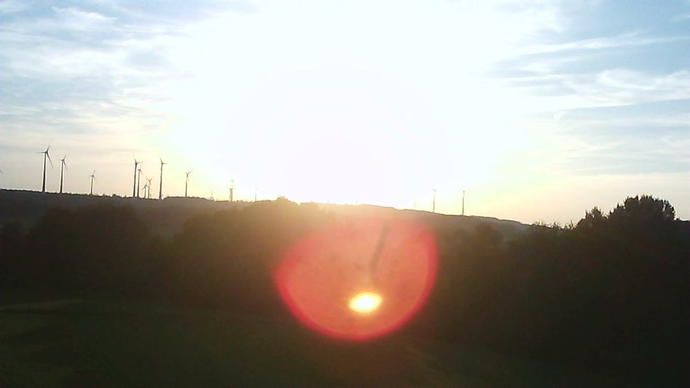 Aufnahme des Waldes im Westerwald, also das, was einigermaßen zu erkennen ist.