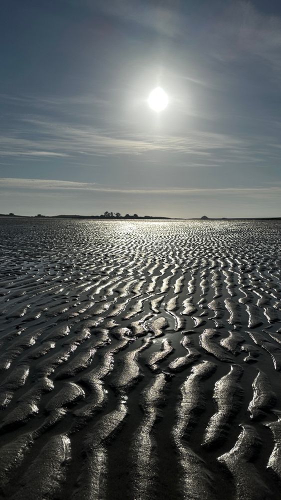 Strand, gegen die Sonne aufgenommen, bei Ebbe....
