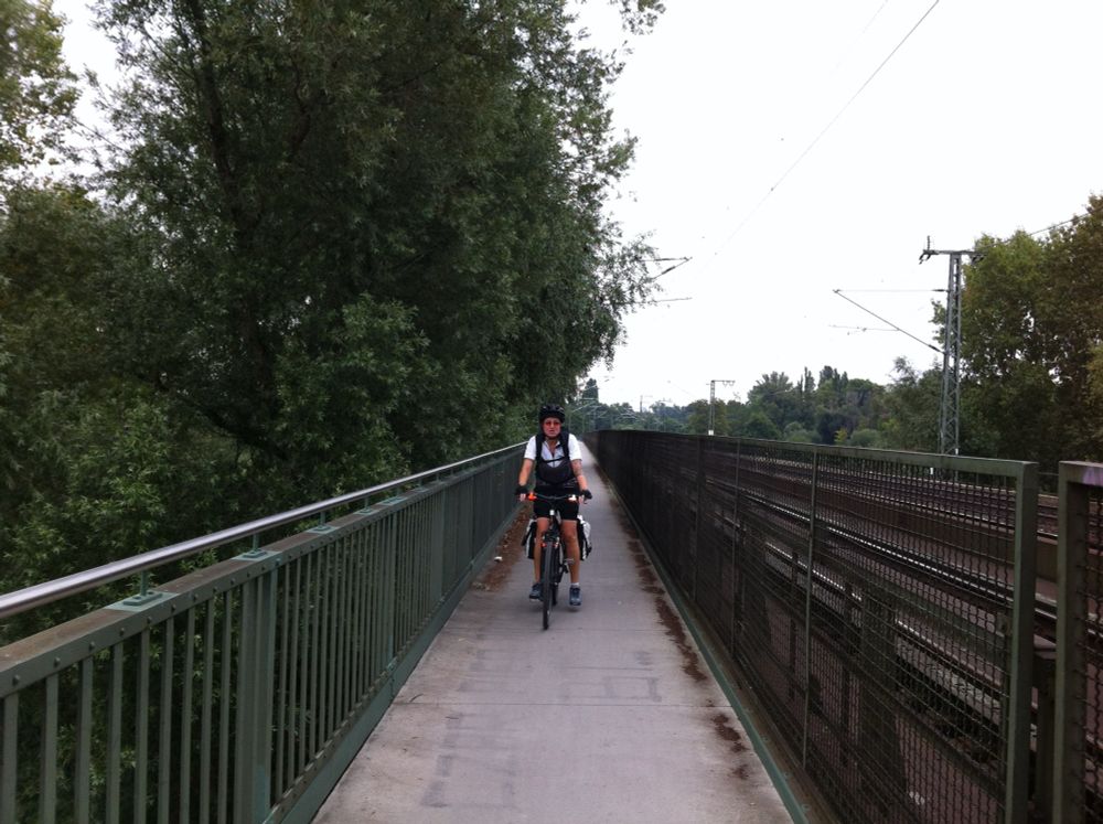 Meine Frau kommt auf dem Weg an der Bahnlinie zwiachen Rüsselsheim und Mainz gefahren.