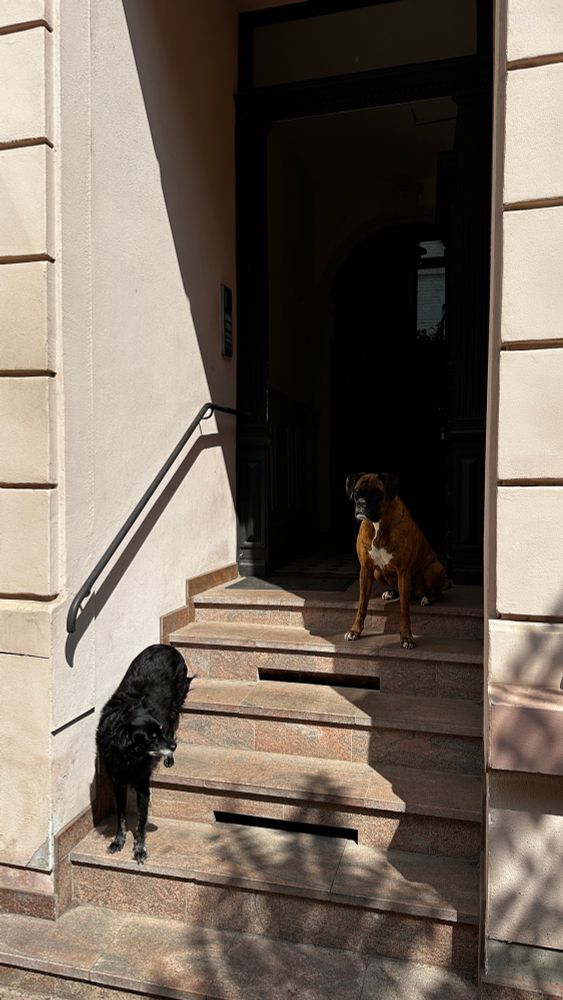 Treppenaufgang zu unseren Wohnhaus. Unser sitzt und unsere Freundin sunny geht die Stufen herab.