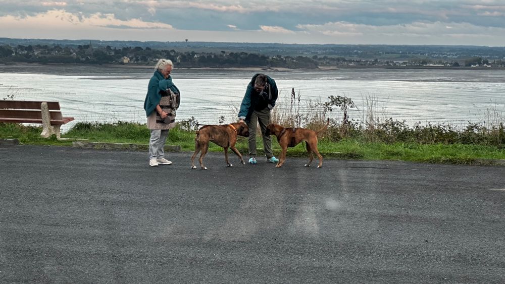 Zwei Frauen und zwei Hunde, im hintergrund Wasser und eine Bank zum sitzen.