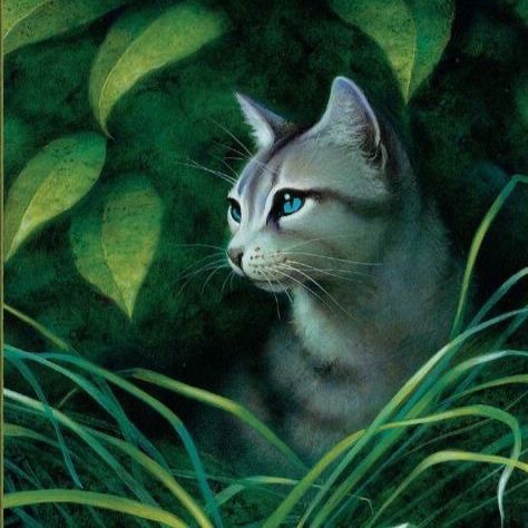 jayfeather warrior cats official art
