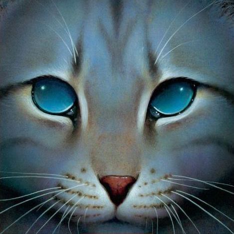 jayfeather warrior cats official art